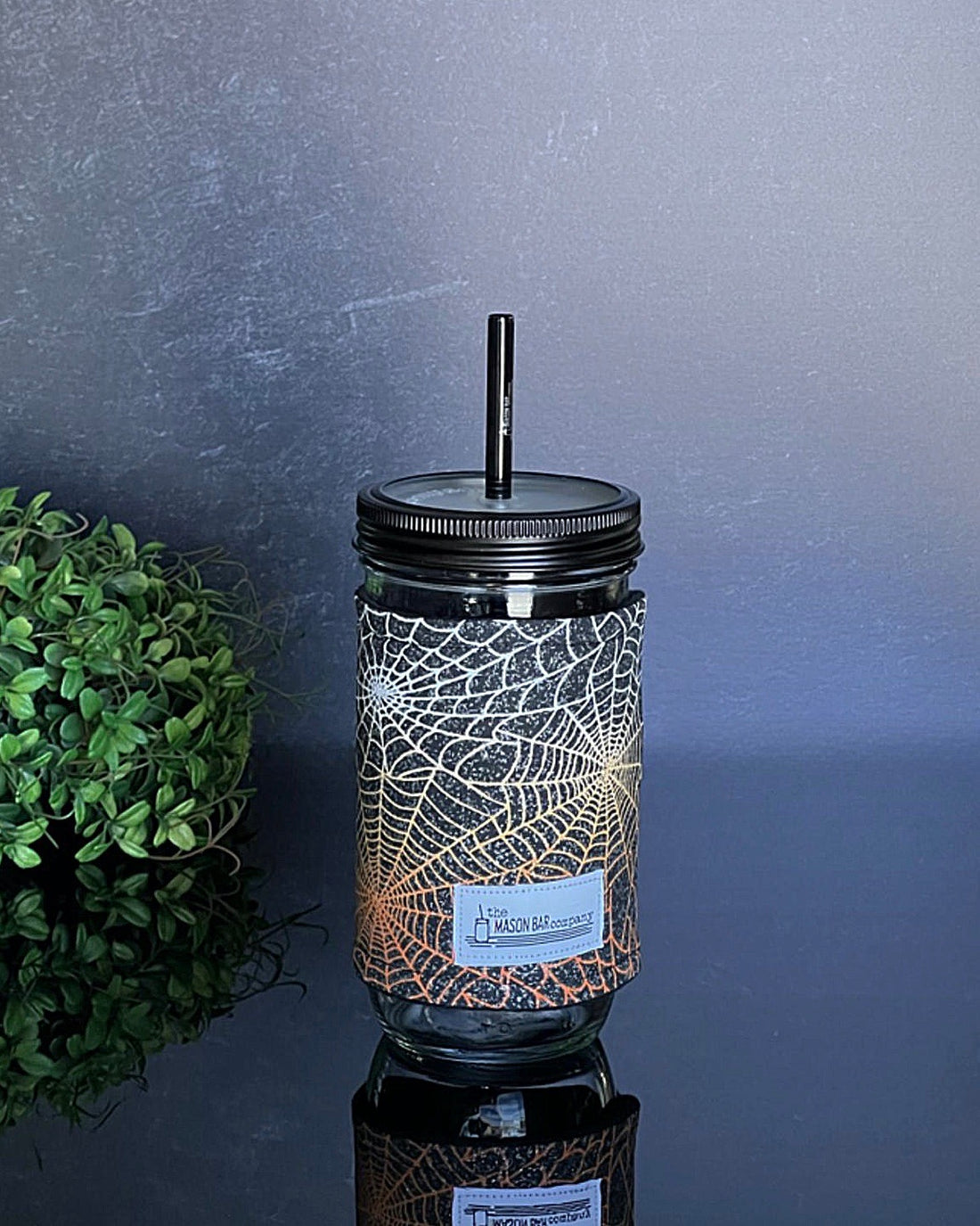 Spooky SpiderWeb Cozy
