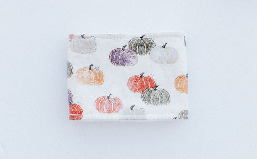 Pumpkins + Fall = Cozy